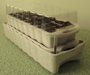 Accelerated Propagation System