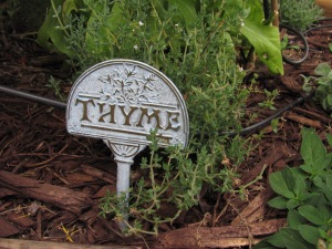 Thyme sign