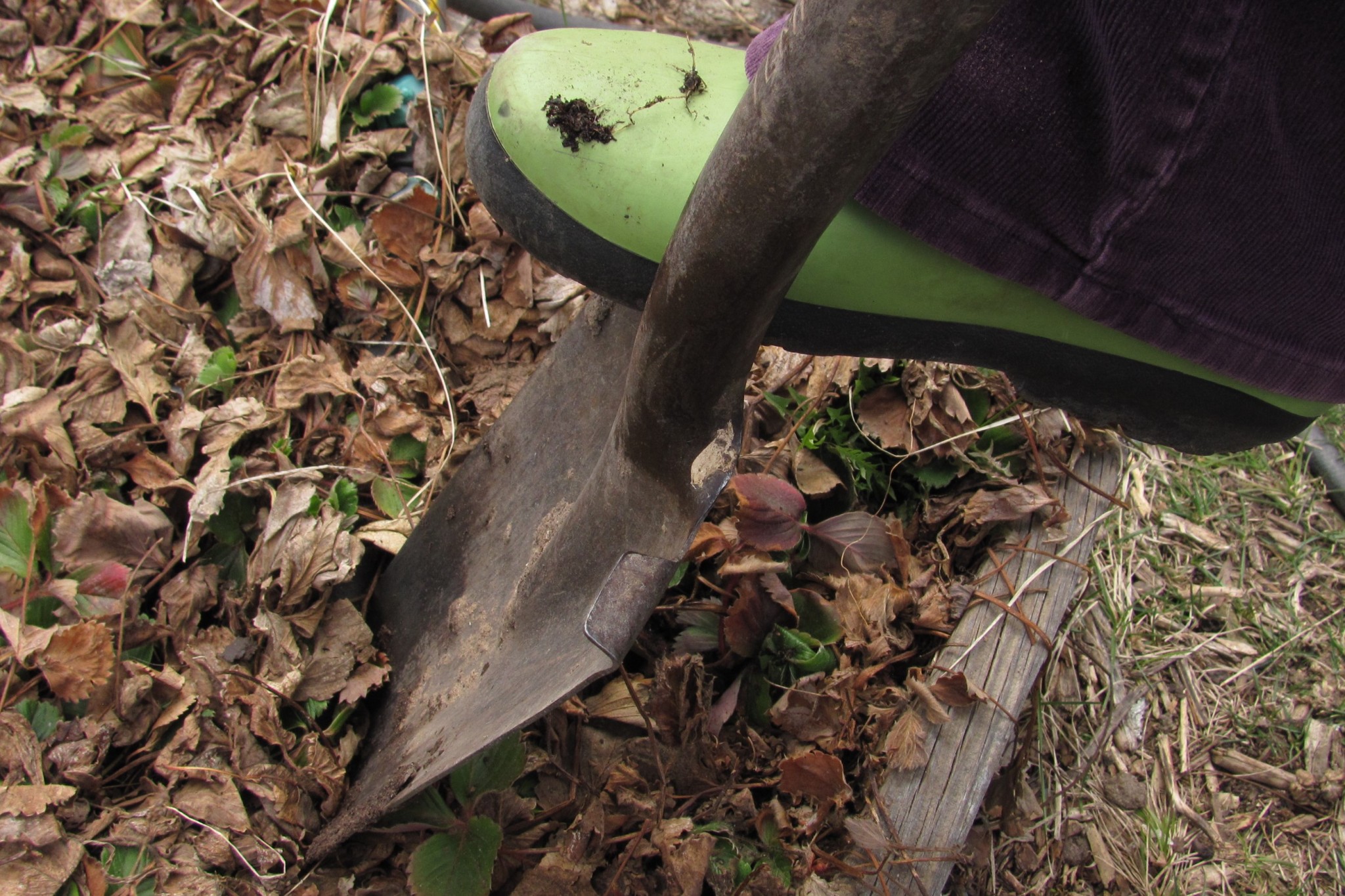 2016-5-Kathy Shreve's tiling or trenching spade by Barb Gorges