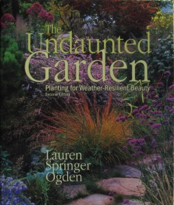 2016-12-undaunted-garden