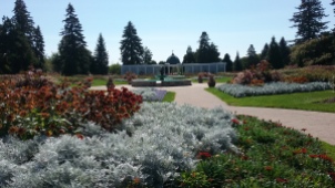 Niagara Parks Botanical Gardens, rose garden. Photo by Barb Gorges.