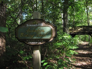 Bowman's Hill Wildflower Preserve, woods. Photo by Barb Gorges.
