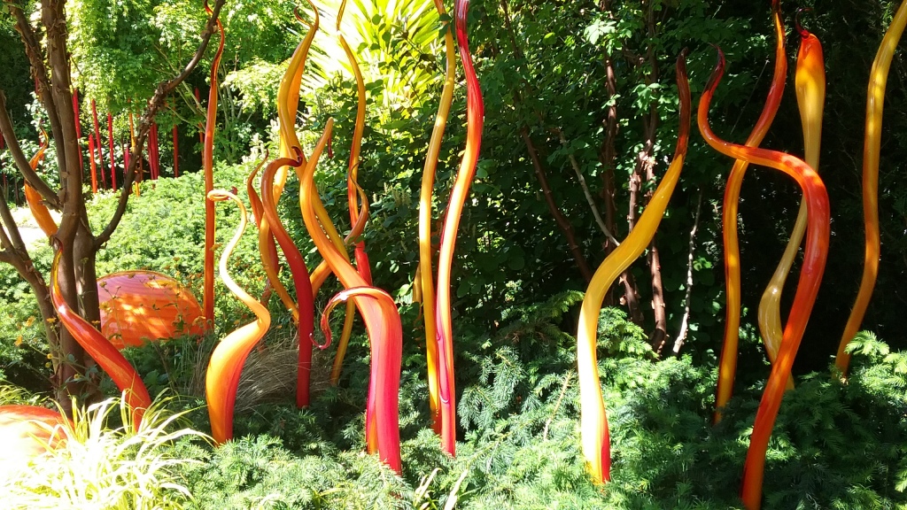 2019-06-2 Chihuly 1