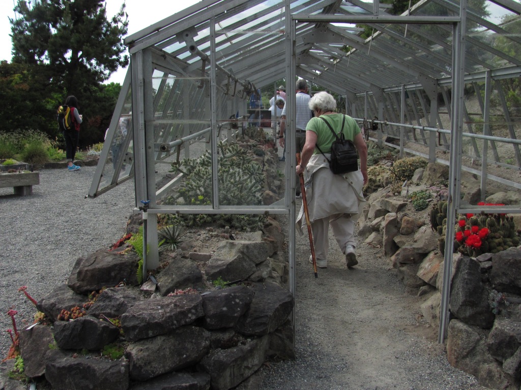 2019-08 University of British Columbia - cactus garden, Barb Gorges