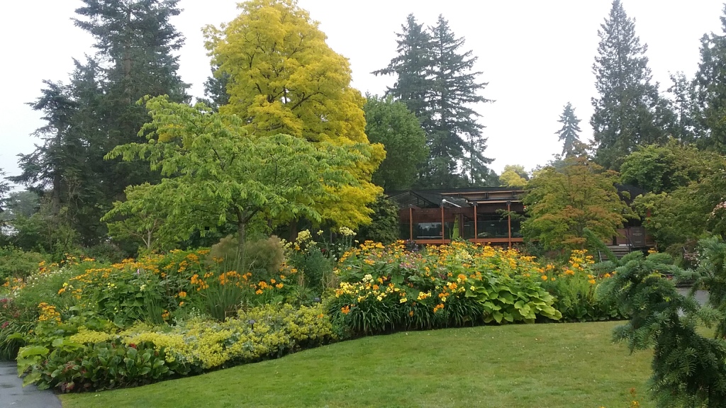 2019-08 VanDusen Botanical Garden - yellow bed, Barb Gorges