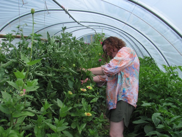 2019-09 Vally Gollogly in hoop house--Barb Gorges